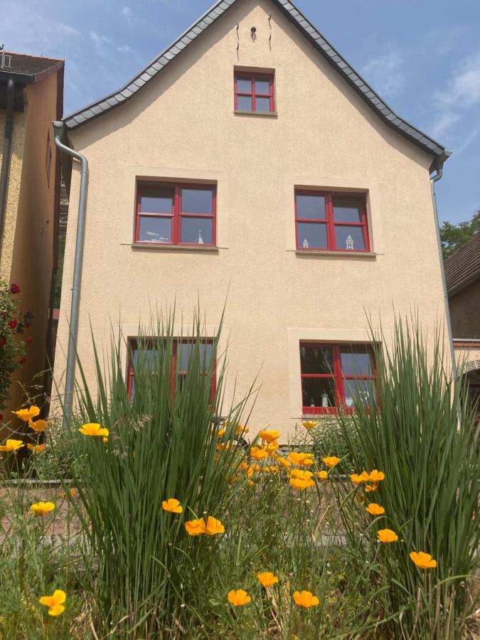 Radler Pension Wettin Exterior photo